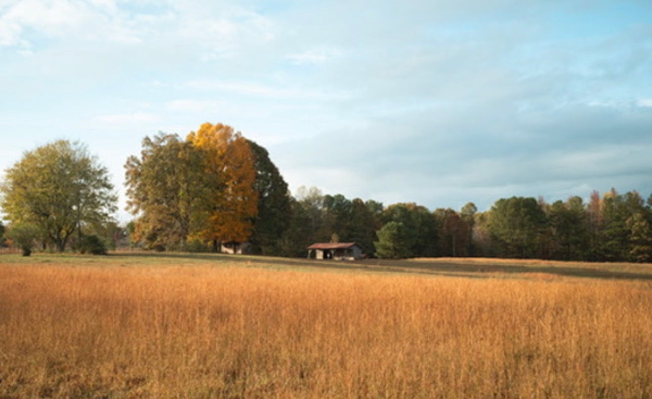 Americano "Field & Barn"