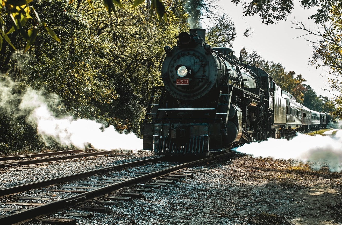 Train "Southern 4501"